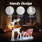 Sturdy Reindeer and Santa's Sleigh Christmas Decoration with 180 LED Lights